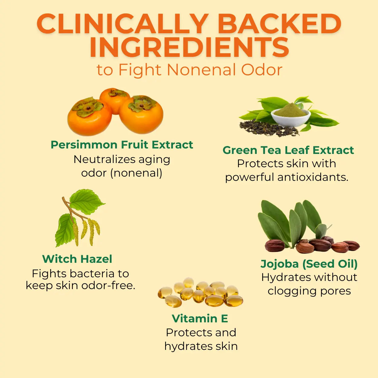 Nonenal Deodorising Routine Kit with Persimmon